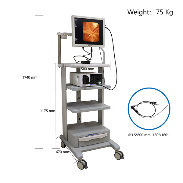 Veterinär-Videogastroskop 