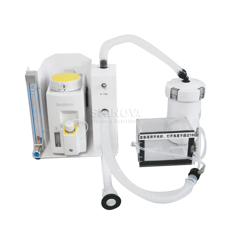 Laboranästhesie Maschine