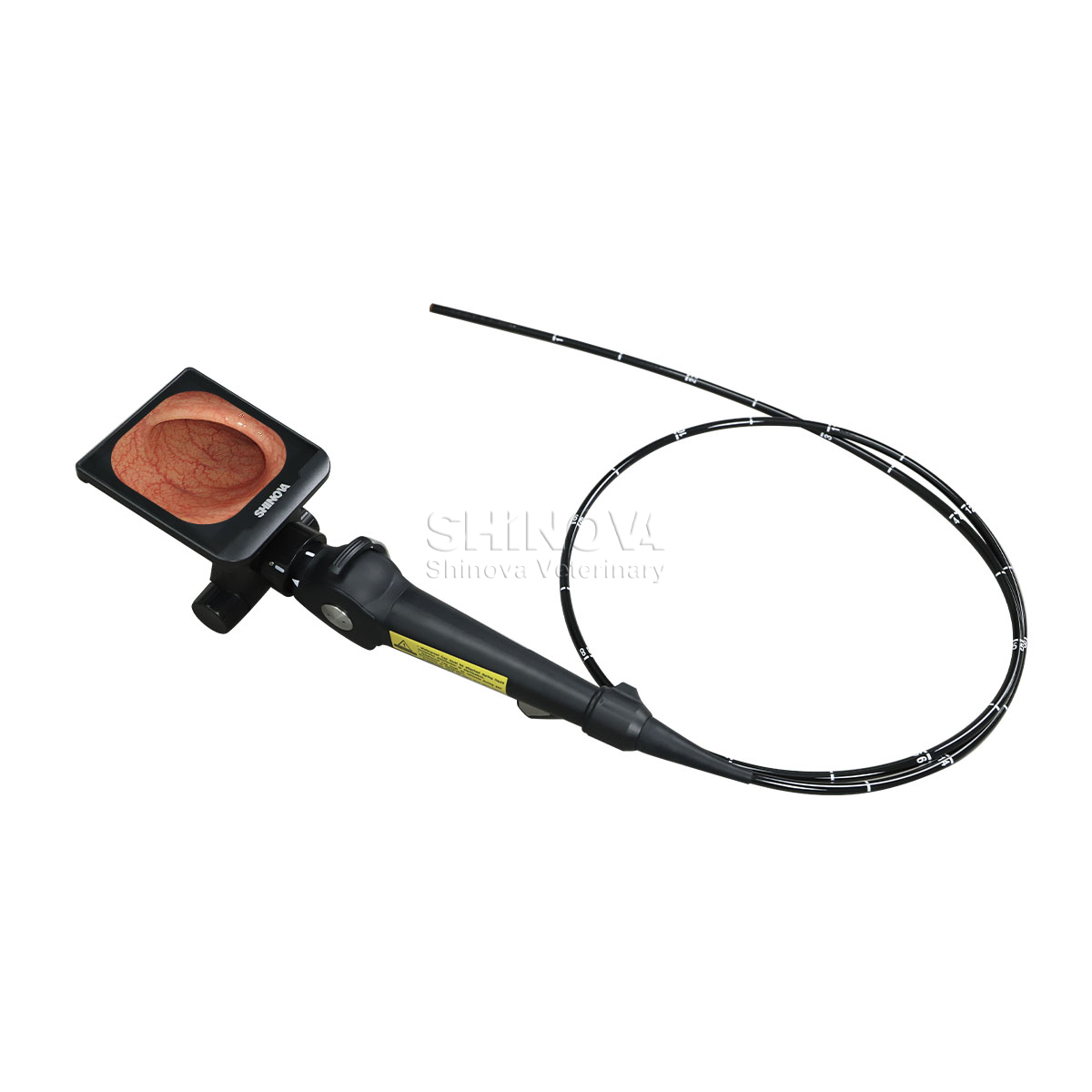 Handheld-Videoendoskop mit hoher Definition für die Bronchoskopie der Pferde