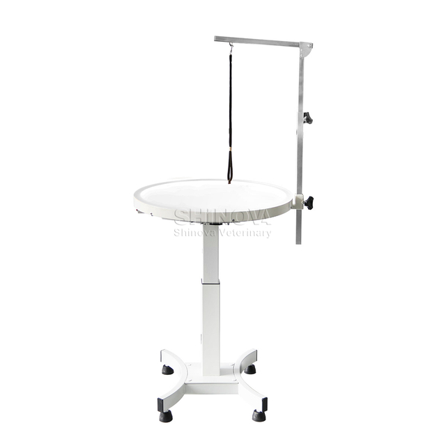 Leuchtend elektrische Pflegetisch