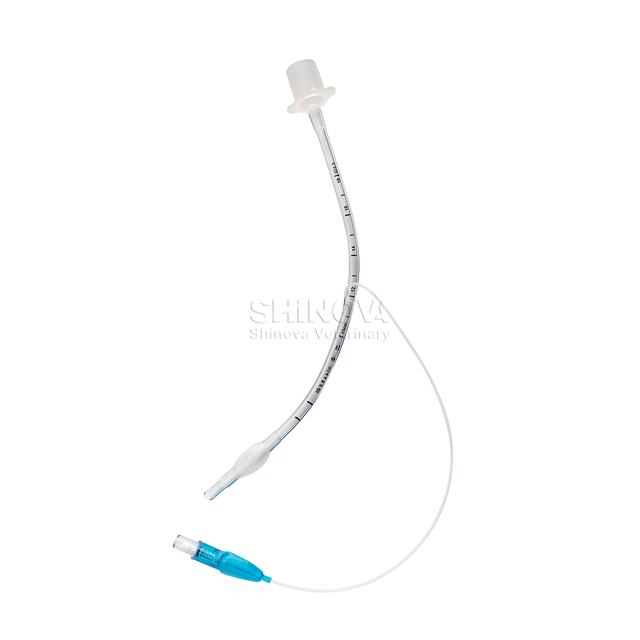 Endotrachealrohr mit Manschette/ohne Manschette