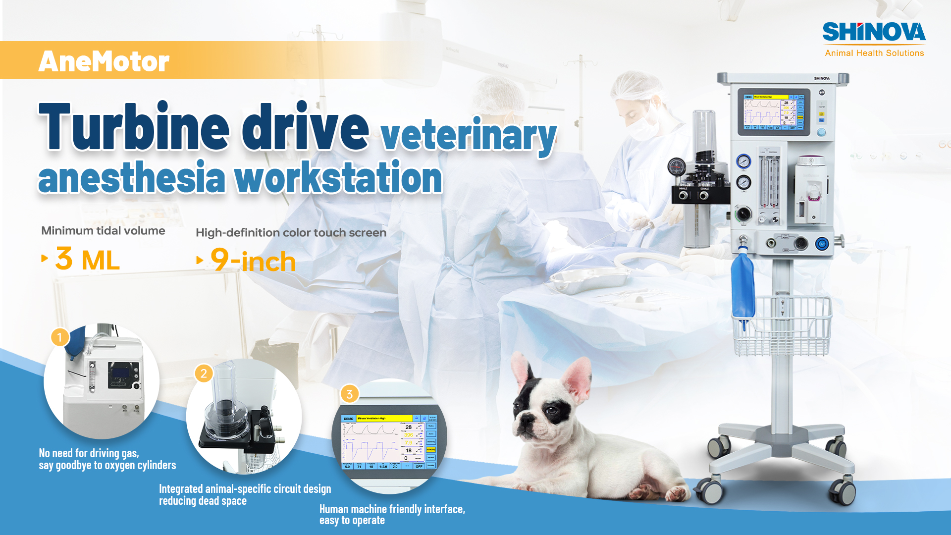 Veterinäranästhesie Workstation