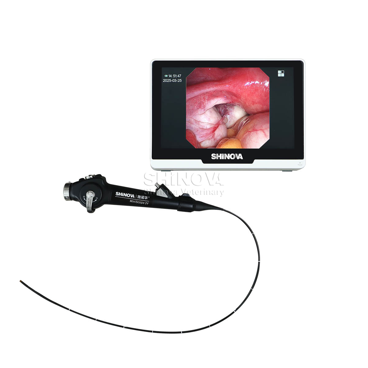 Tragbares Veterinärendoskop (2,8 mm)