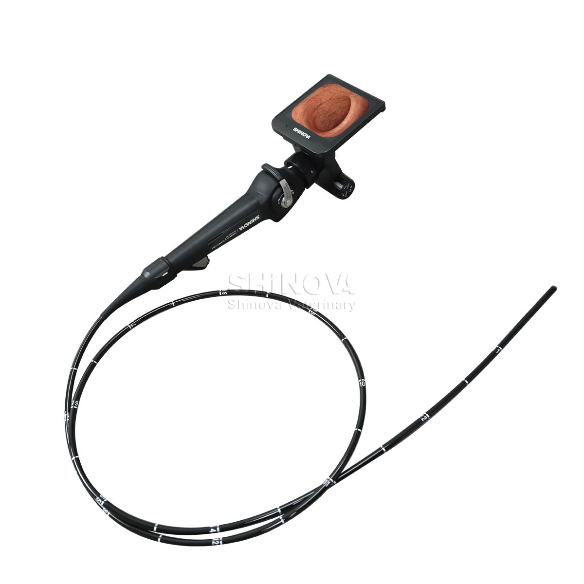 Handheld-Videoendoskop mit hoher Definition für die Bronchoskopie der Pferde