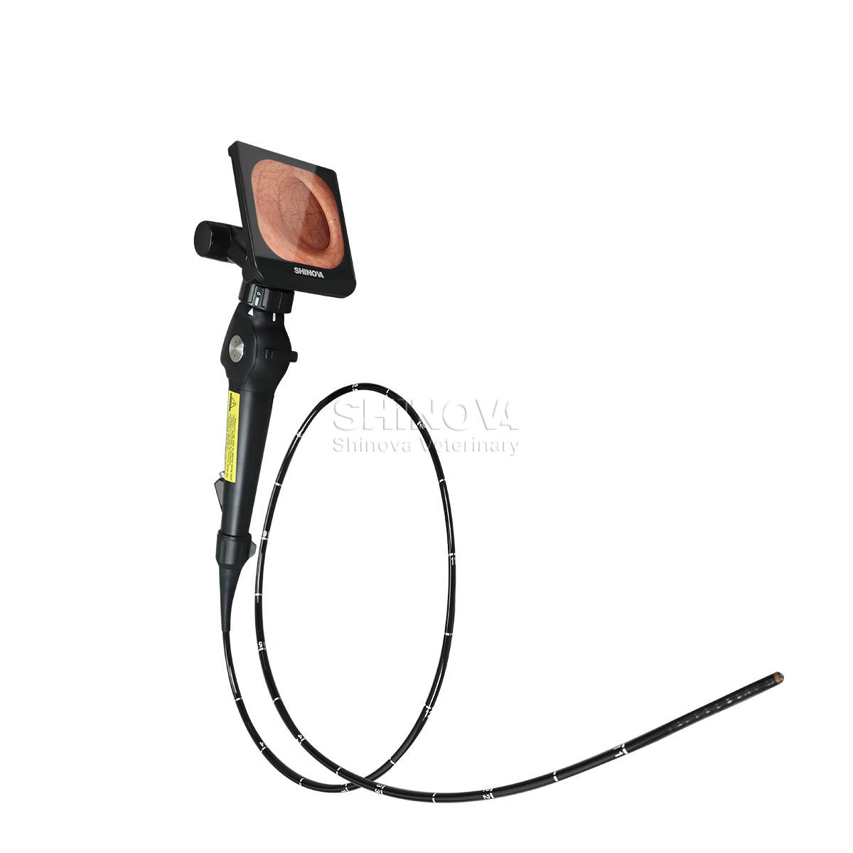 Handheld-Videoendoskop mit hoher Definition für die Bronchoskopie der Pferde