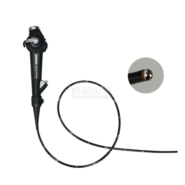 Tragbares Veterinärendoskop (4,8 mm)
