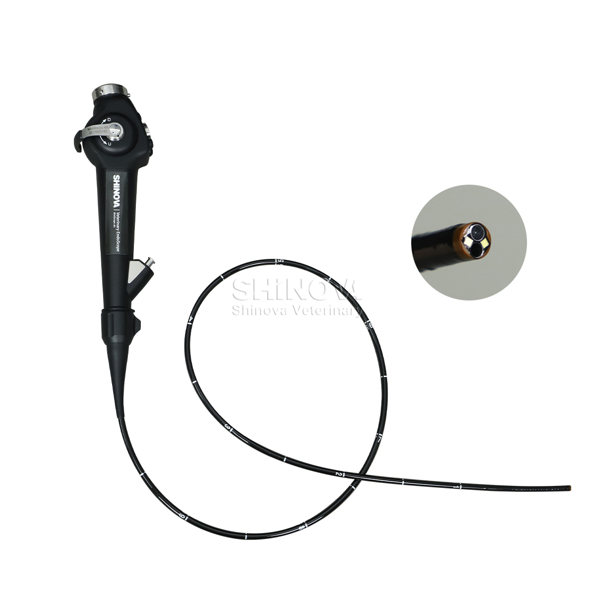 Tragbares Veterinärendoskop (4,8 mm)