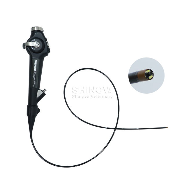 Tragbares Veterinär -Endoskop (3,8 mm)
