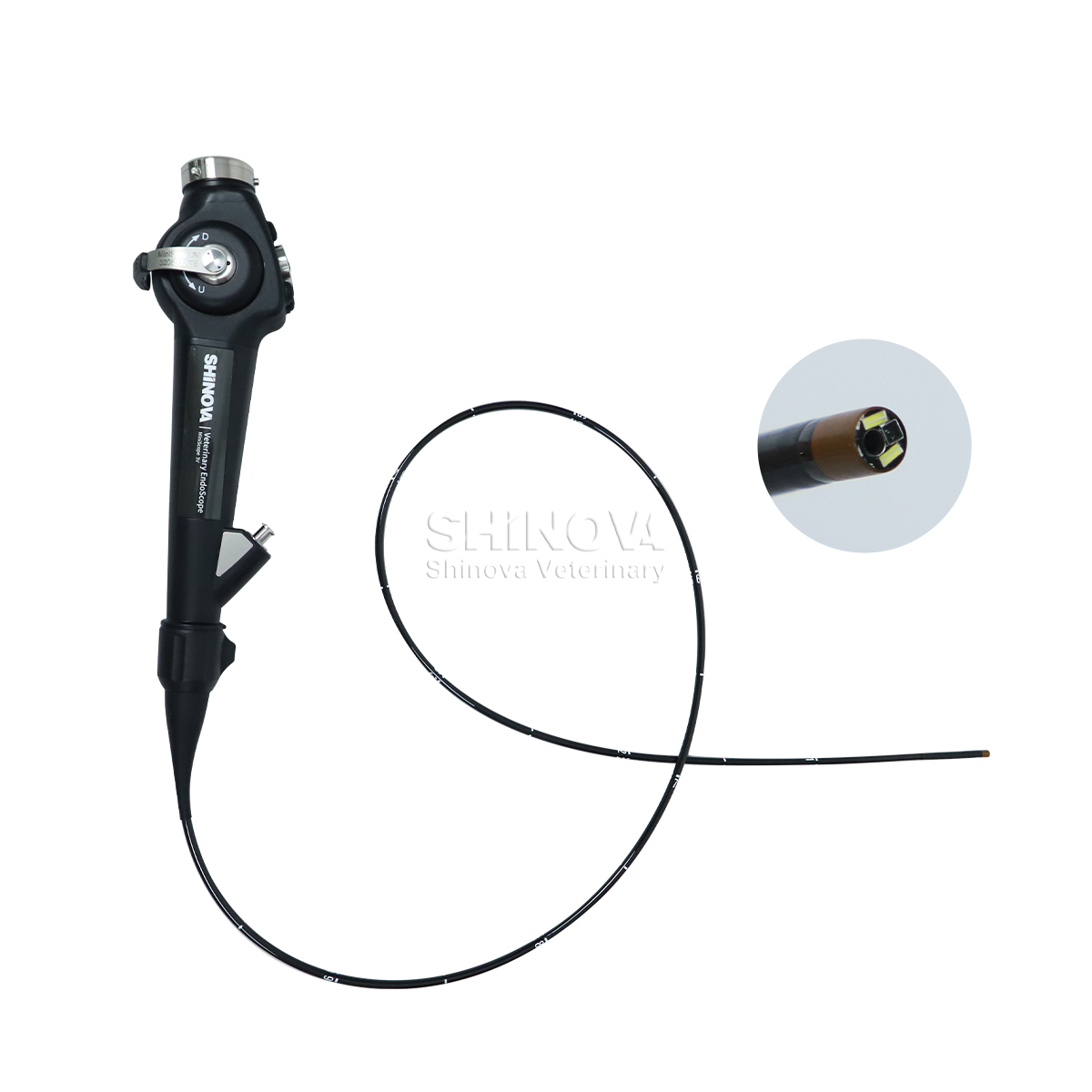 Tragbares Veterinär -Endoskop (3,8 mm)