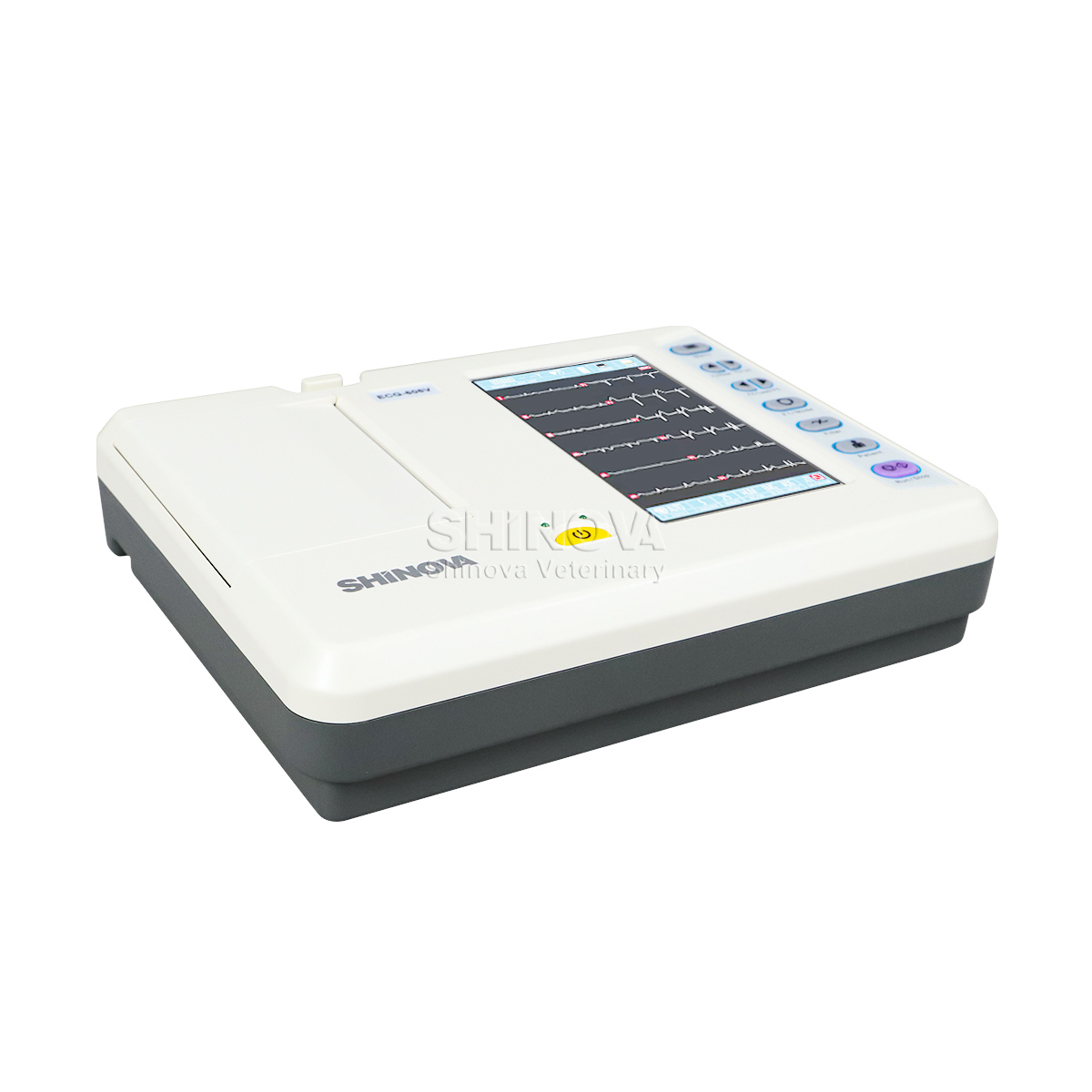 Tragbarer Veterinär -EKG -Maschinen -Veterinär -Elektrokardiagraph