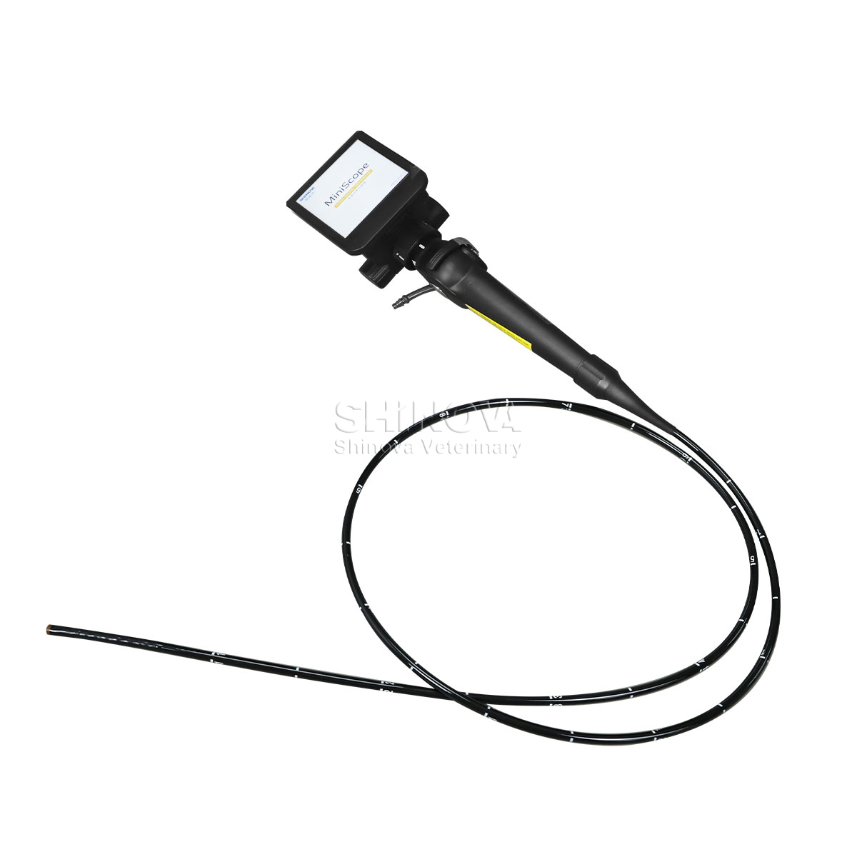 Handheld-Videoendoskop mit hoher Definition für die Bronchoskopie der Pferde