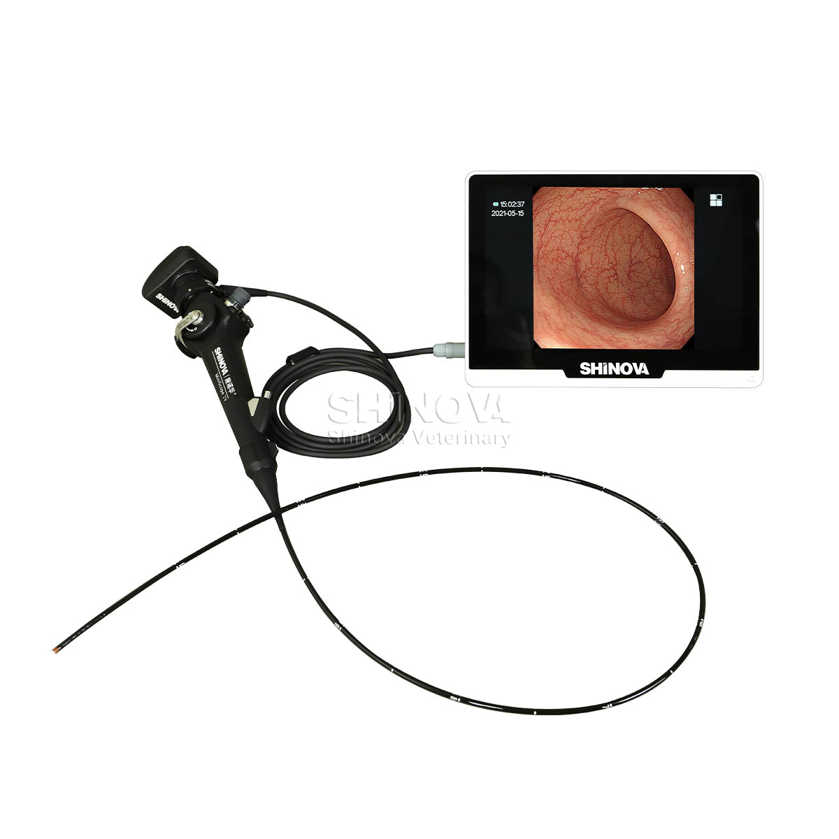 Tragbares Veterinärendoskop (2,8 mm)