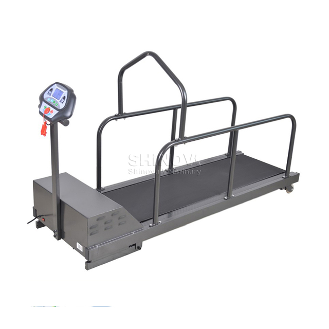 Haustier -Hunde -Laufband